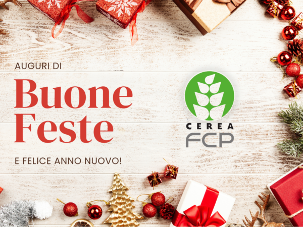 Auguri di Buone Feste